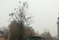 福瑞苑户型图实景图