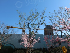 天泰公园壹号实景图