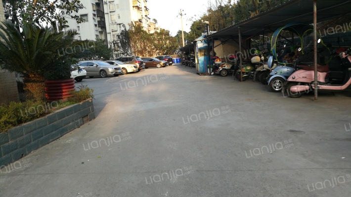 旭日湖畔外景图