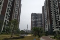 盈信广场户型图实景图