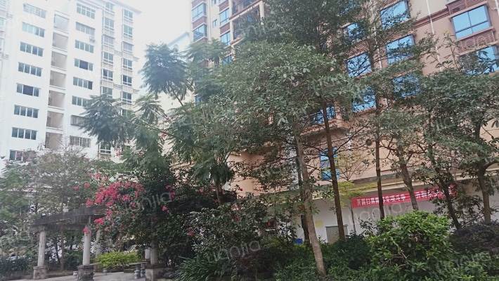 成德国际外景图