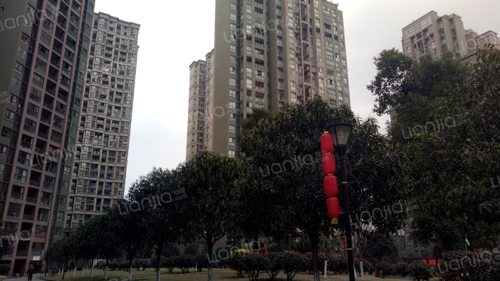 泰丰花园外景图