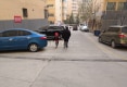 盛世花园户型图实景图