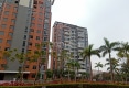 阳光园户型图实景图