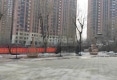 香格里拉城市花园四期锦园户型图实景图