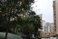 御景园(福鼎市)户型图实景图
