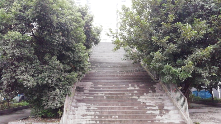 棉花地小区外景图