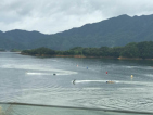 富力湖滨悦居小区配套