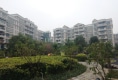 星荷豪苑一期户型图实景图