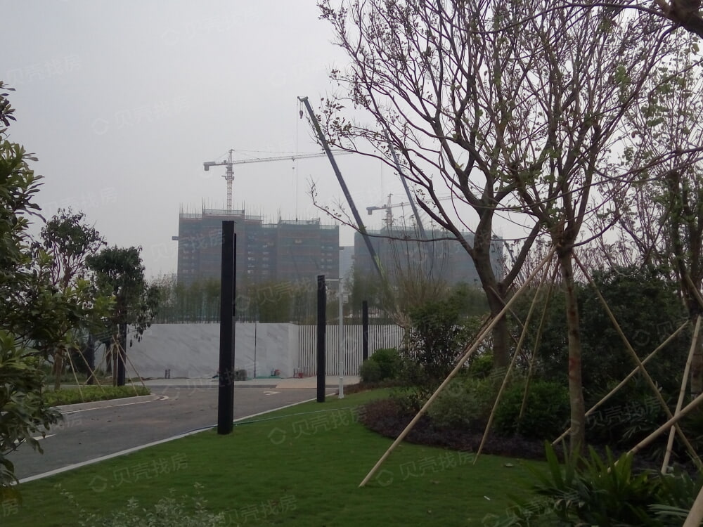 星图TOD实景图