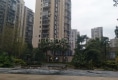 东城国际户型图实景图