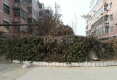 宁辉花园户型图实景图