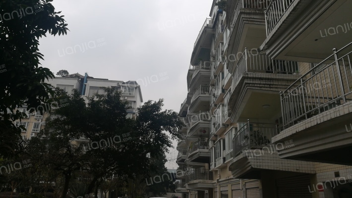 金地嘉苑外景图