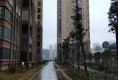 中鼎华城一期户型图实景图