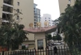 锦湖阁户型图实景图