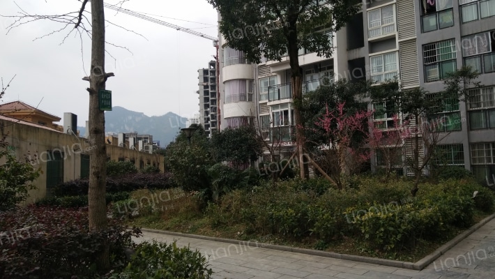 金港观山水外景图