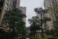 东晟泰丽园户型图实景图