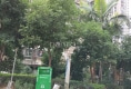 城东花苑A区户型图实景图