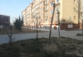 金鼎世纪城户型图实景图