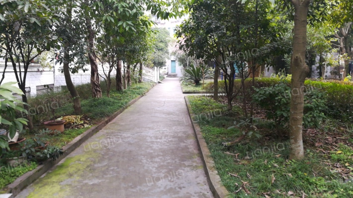 人大小区外景图