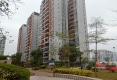 天河湾金景园户型图实景图