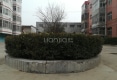 富强小区户型图实景图