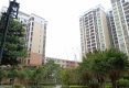 淘金湾北区户型图实景图