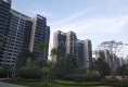 玥珑湾户型图实景图