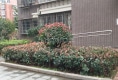 嘉兴四季户型图实景图