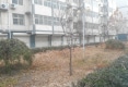 馨奥都市户型图实景图