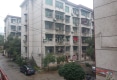 水利局新村户型图实景图