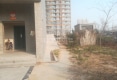 清河上海城户型图实景图
