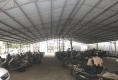 东怡花园户型图实景图