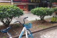 金城花苑户型图实景图