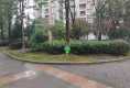 怡和丽景户型图实景图