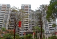 金河湾户型图实景图