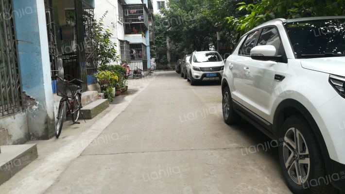 枫叶金岛五组团外景图