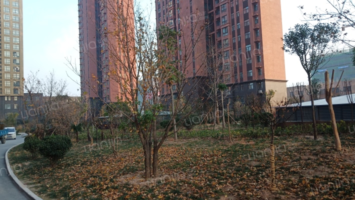 旭晨林溪郡外景图