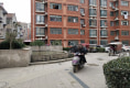 月亮湾户型图实景图