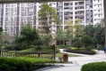 宝信郦景阳光户型图实景图