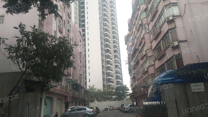 红棉楼小区外景图