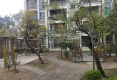 东门雅筑户型图实景图