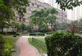 万达华城B区户型图实景图