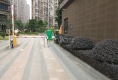 中茵上城国际户型图实景图