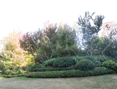 鲁信和璧花园实景图