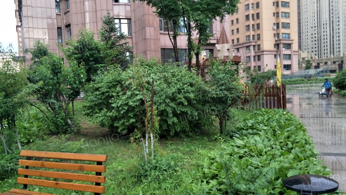 泰鑫国典外景图