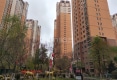 金座晟锦B区户型图实景图