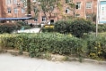 状元府邸户型图实景图