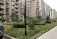 月亮湾户型图实景图