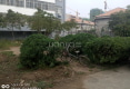 向阳小区户型图实景图